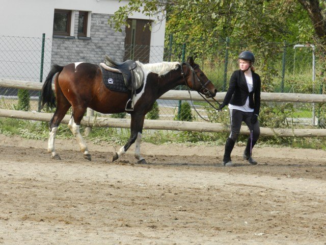 Babie Lato 2016